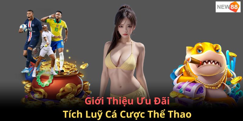 Giới thiệu chương trình ưu đãi thưởng tích lũy khi bạn cá cược thể thao