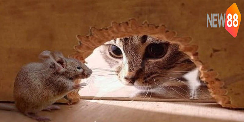 Giải mã các trường hợp mơ thấy mèo phổ biến