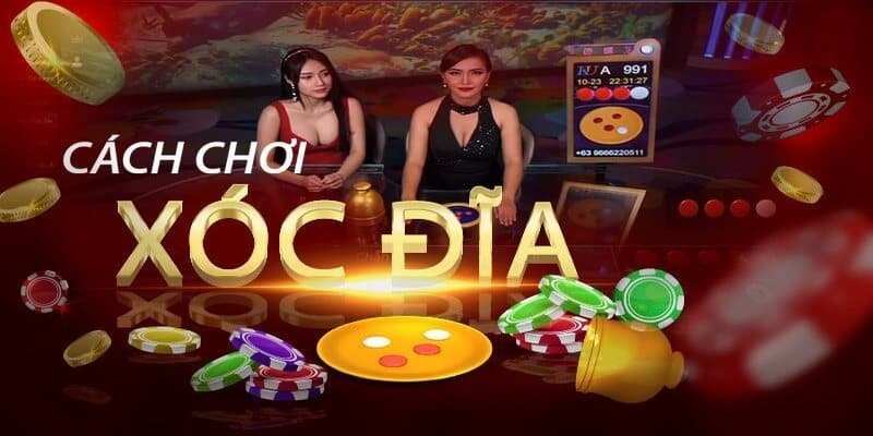 Nên cược từ 2 cửa trở lên khi chơi xóc đĩa
